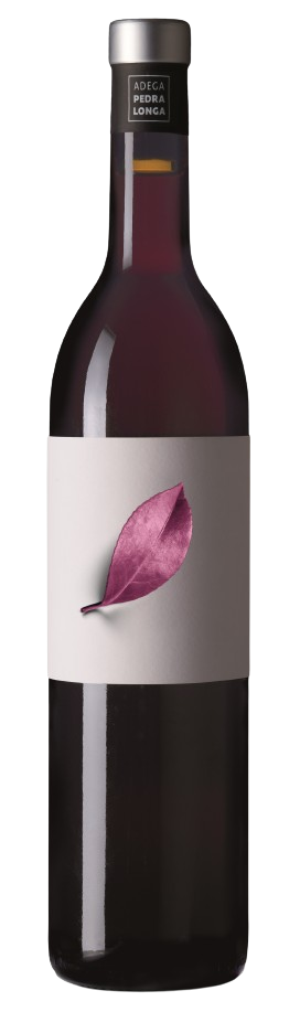 페드라롱가, 도우미아 2019