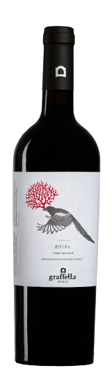 그라페타, 히스파 2021