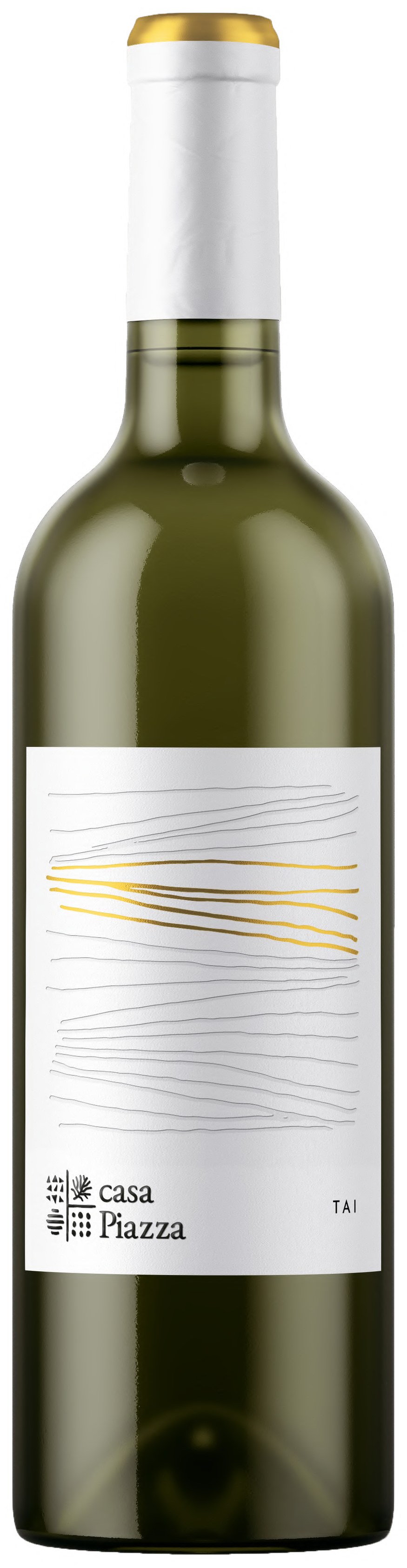 까사 피아자 타이 2024