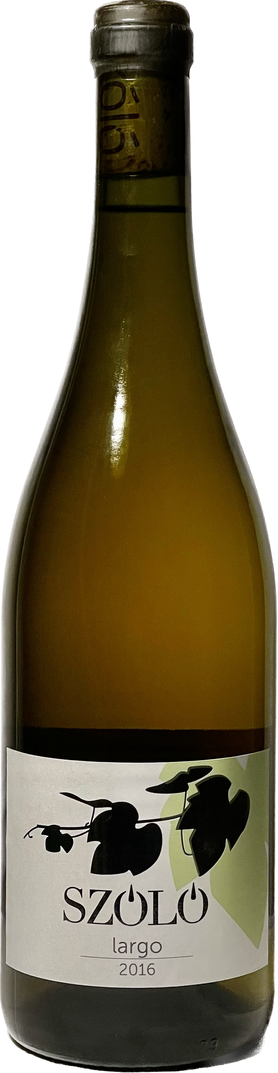 졸로 라르고 2016