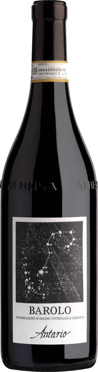 안타리오 바롤로 2018