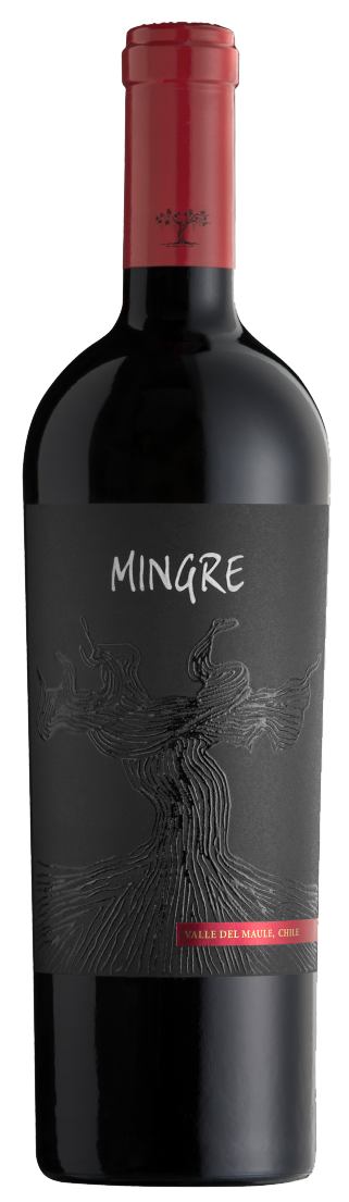 부숑 밍그레 2019