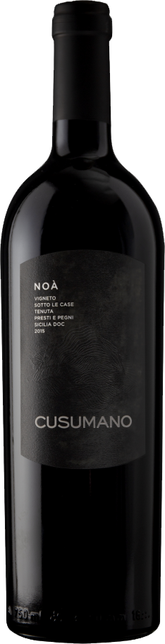 쿠수마노 노아 2019