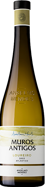 뮤로스 안티고스 루레이로 (그린와인) 2023