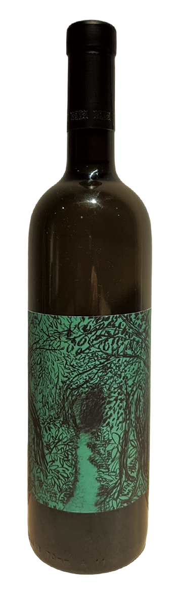 돈나루이지아 2019