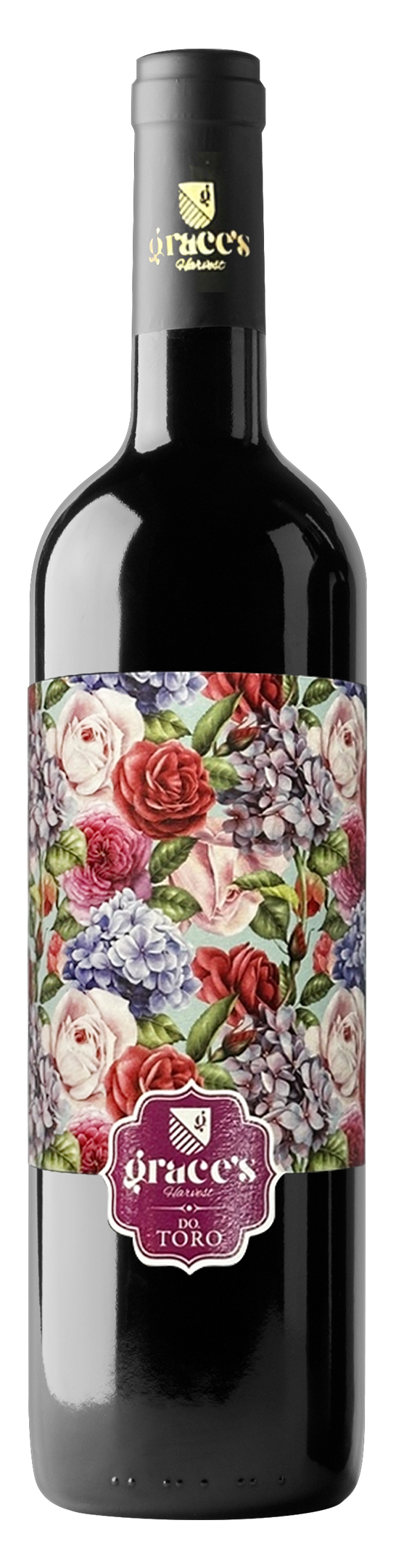 그레이스 하비스트 토로 카네이션 2021