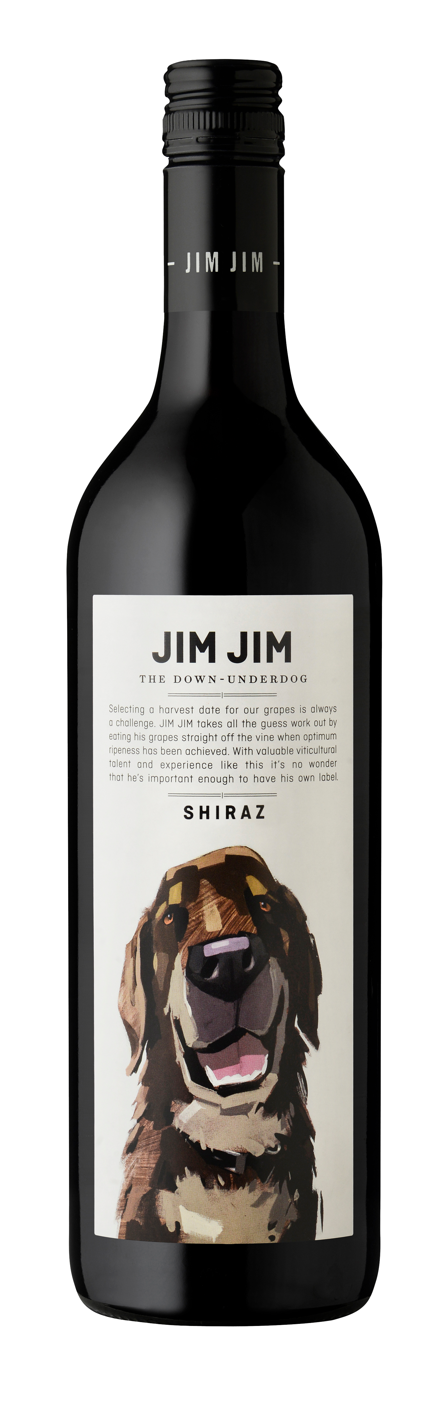 짐짐 쉬라즈 2019