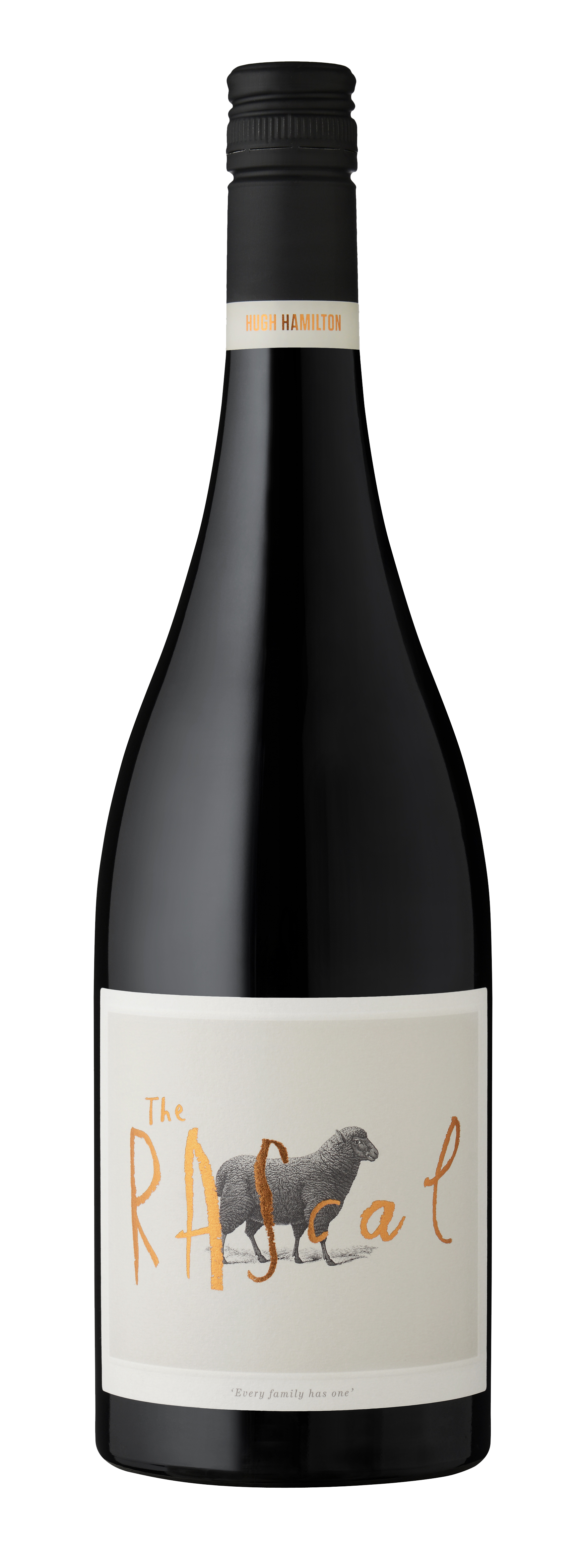 라스칼 쉬라즈 2021