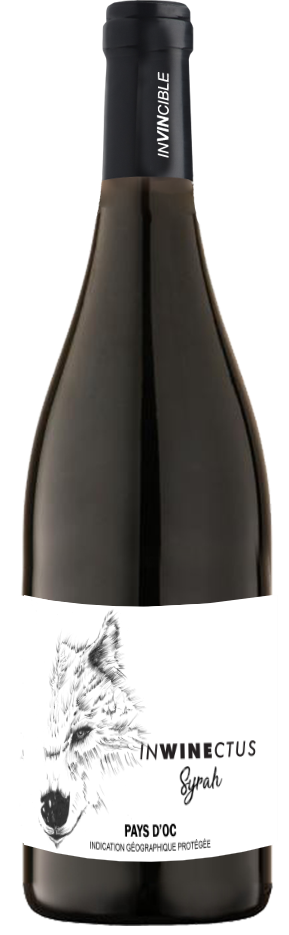 인와인 크투스 쉬라 2023