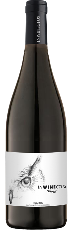 인와인 크투스 메를로 2023