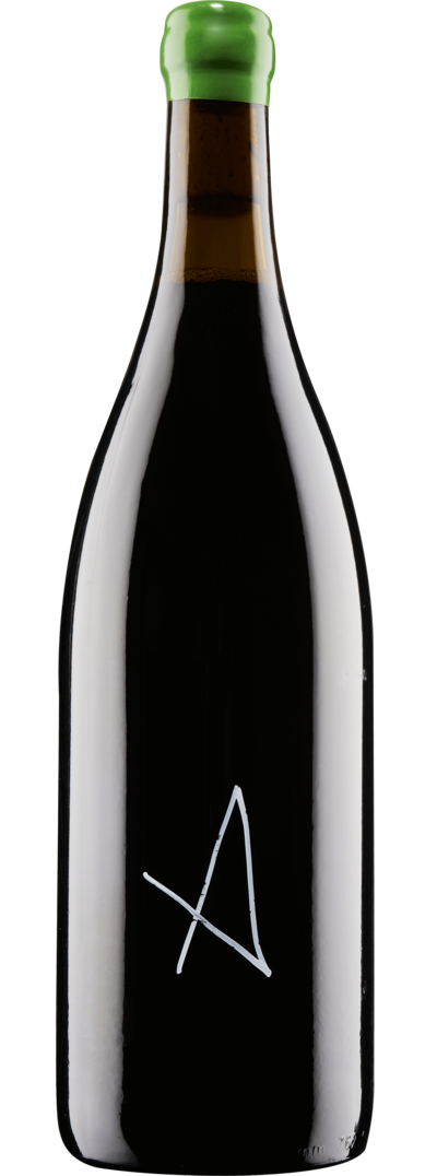 그라티아스 아레나스 2021