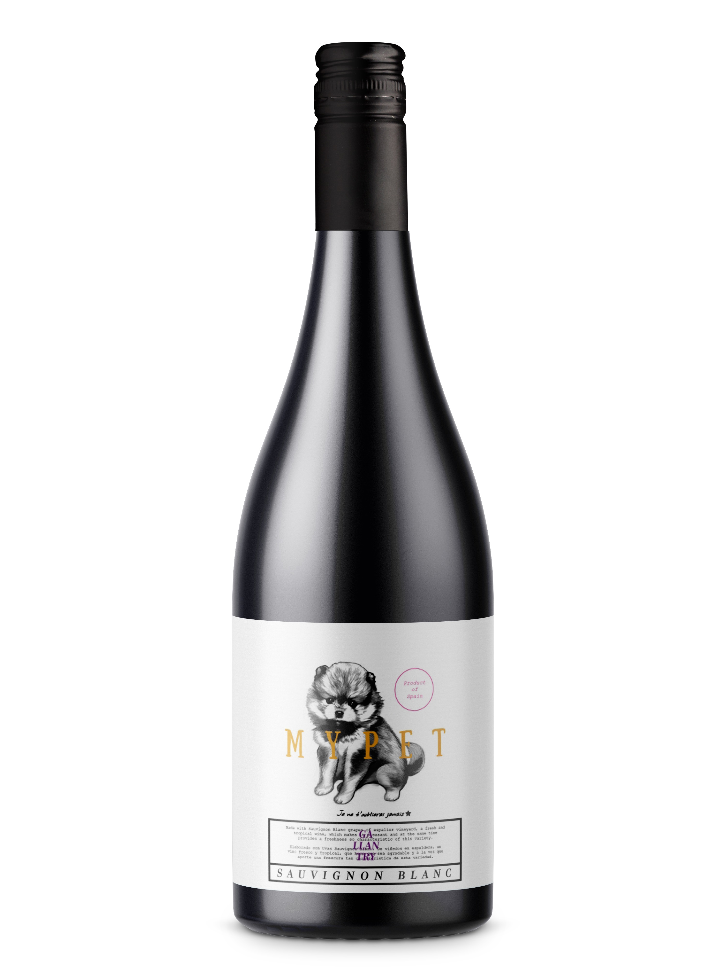 마이펫 쇼비뇽 블랑 2022