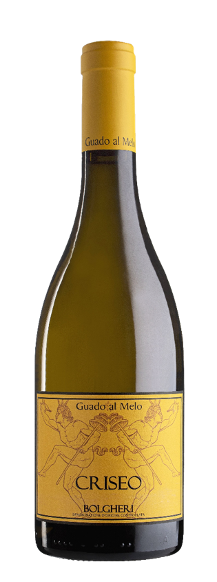 구아도 알 멜로 볼게리 비안코 크리세오 2020