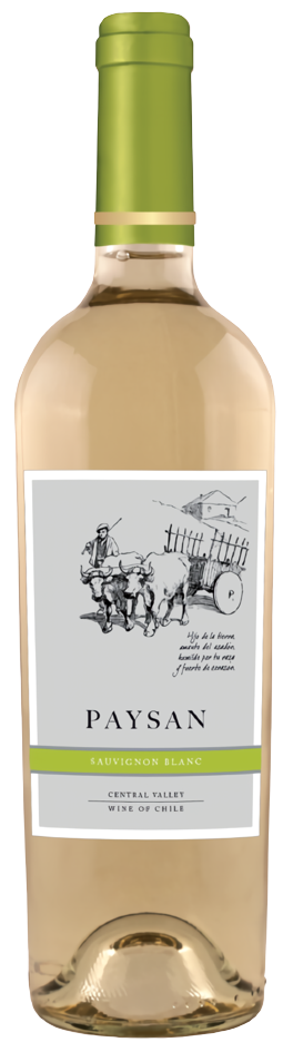 페이산, 쇼비뇽 블랑 2025