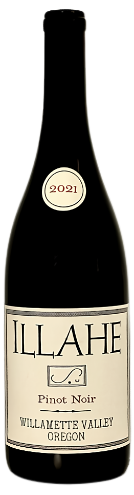 일라헤, 피노누아 2023