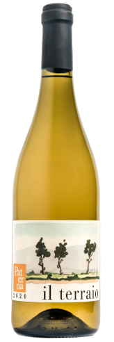 파테르나 토스카나 비앙코, 일 테라이오 2020