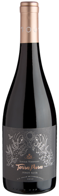 비냐 테라푸라 싱글 빈야드 피노누아 2018