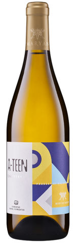 마리얀 에이틴 2019