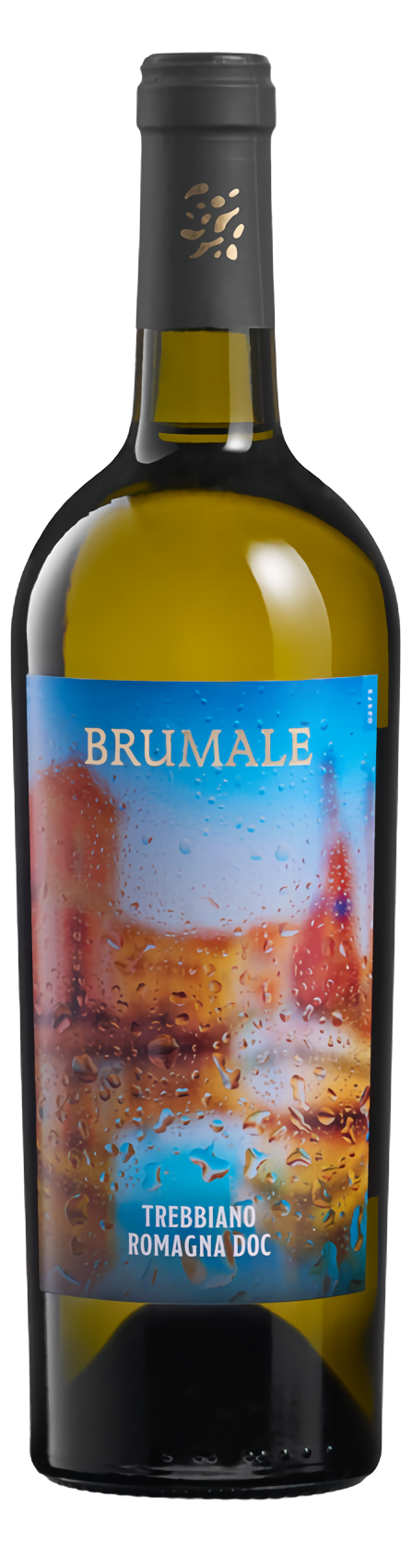 브루멜 트레비아노 2022