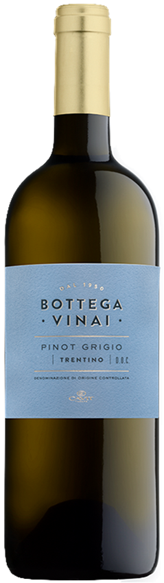 보테가 비나이 피노 그리지오 2021