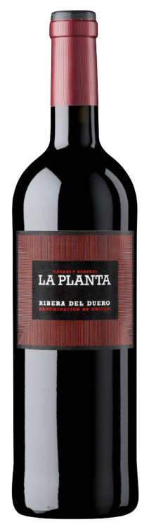 아르수아가, 라 플란타 2020