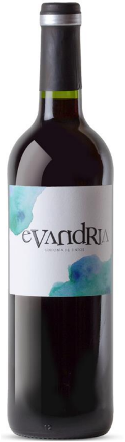 콜로마, 에반드리아 2020