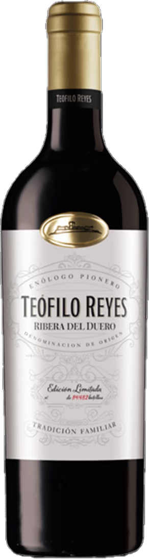 테오필로 레예스 15개월 2021