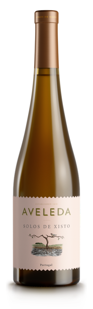 아벨레다 솔로스 데 씨스토 알바리뇨 2022