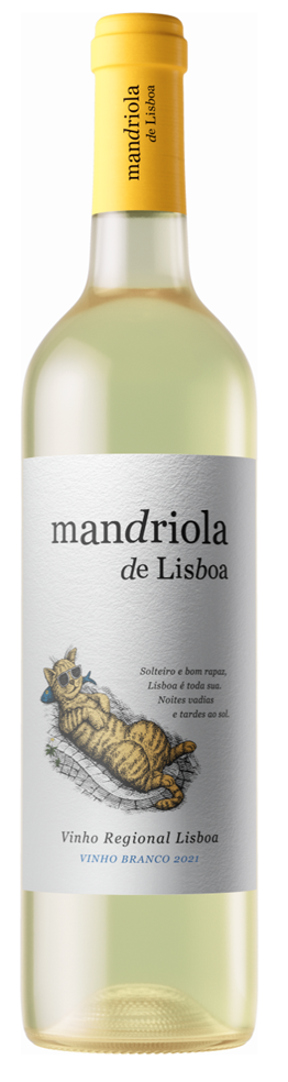 만드리올라 드 리스보아 브랑코 2021