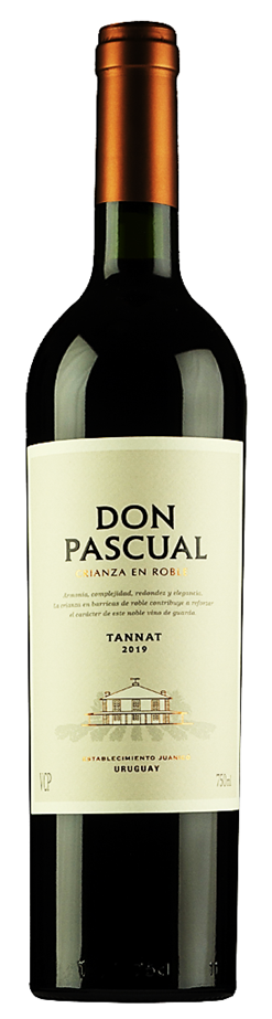 돈파스칼 타나 2020