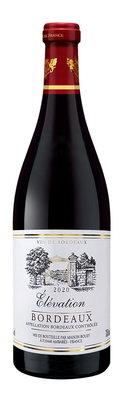 엘리베이션 2023