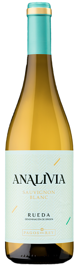 아날리비아 소비뇽 블랑 2023