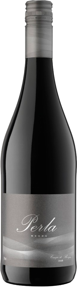 펠라 네그라 2023