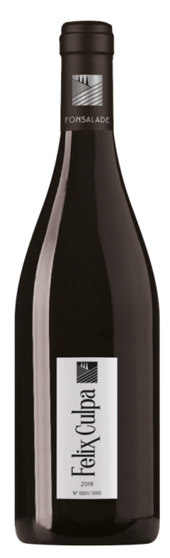 펠리스 콜파 2019