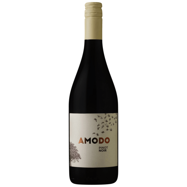 아모도 피노누아 2021