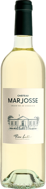 샤또 마조세 블랑 2021