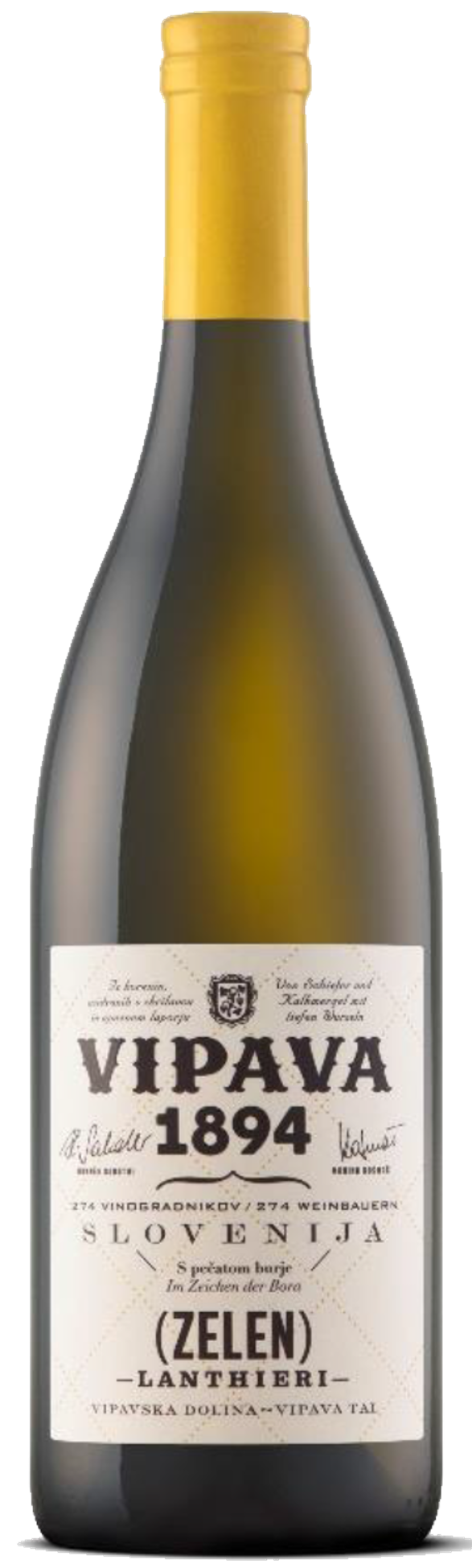 비파바 1894, 란씨에리 젤렌 2019