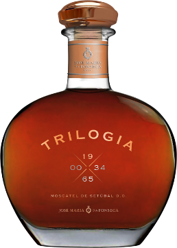 트릴로지아 블랜딩