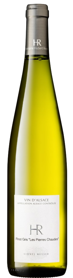 피노그리 레 삐에흐 쇼드 2023