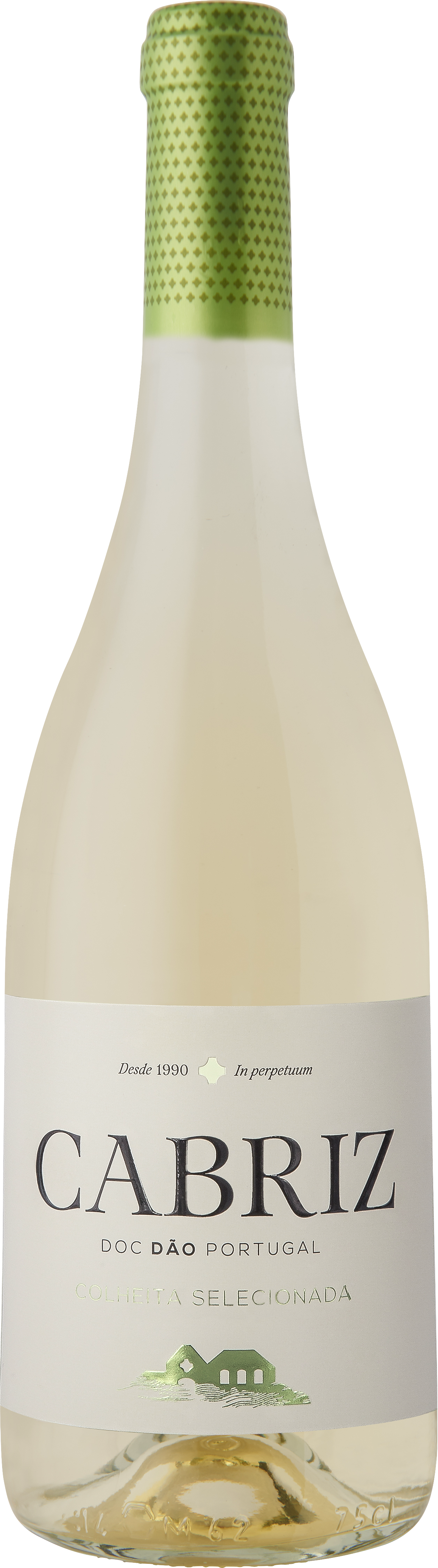 카브리즈 화이트 2024