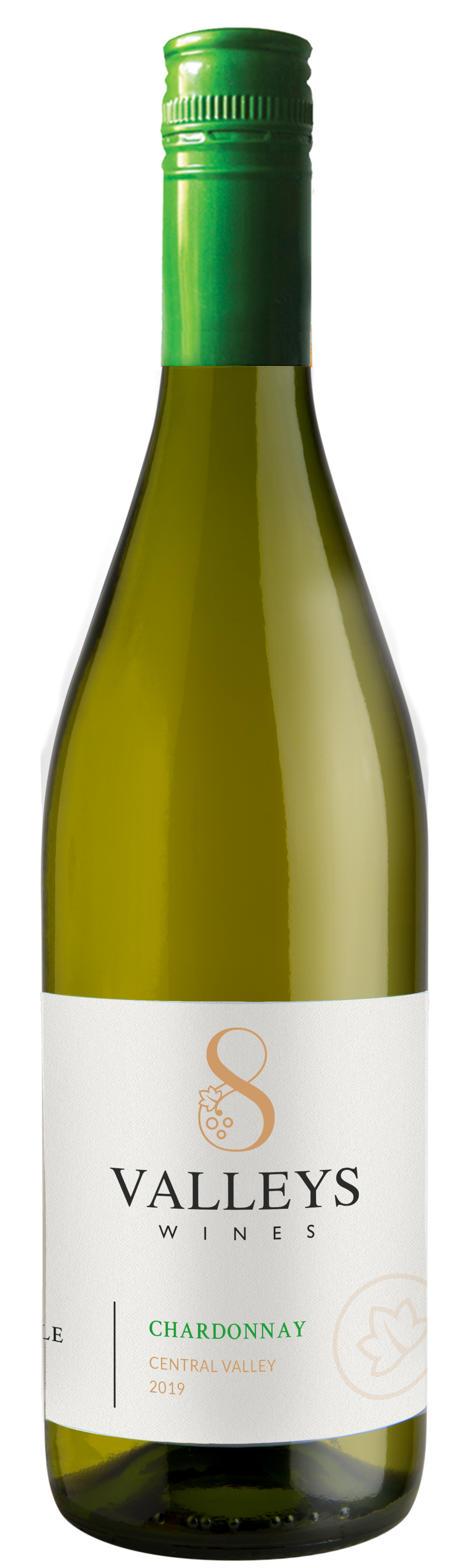 8벨리스 샤도네 2025