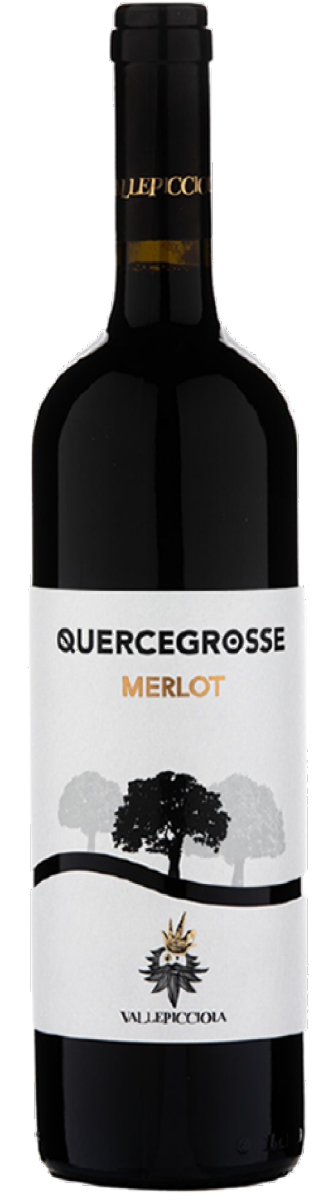 발레피치올라 퀘르세그로세 2020