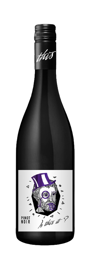 이즈 디스 잍 피노누아 2024