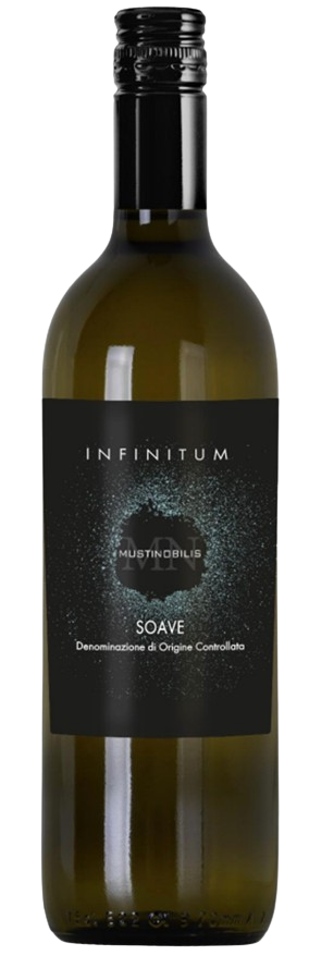 인피니툼 소아베 2023