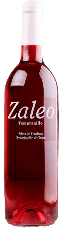 잘레오 로사도 2021