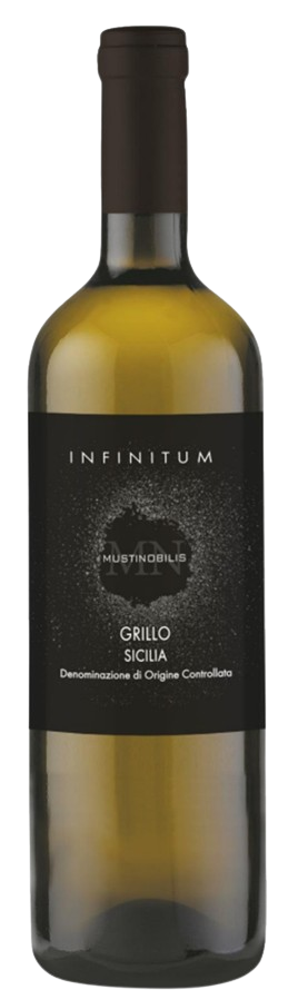 인피니툼 그릴로 2023