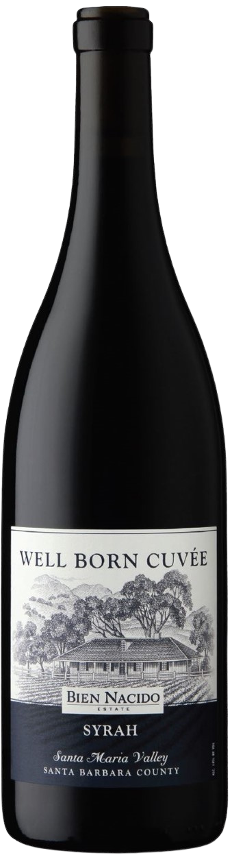 비엔 나시도, 웰 본 뀌베 시라 2019