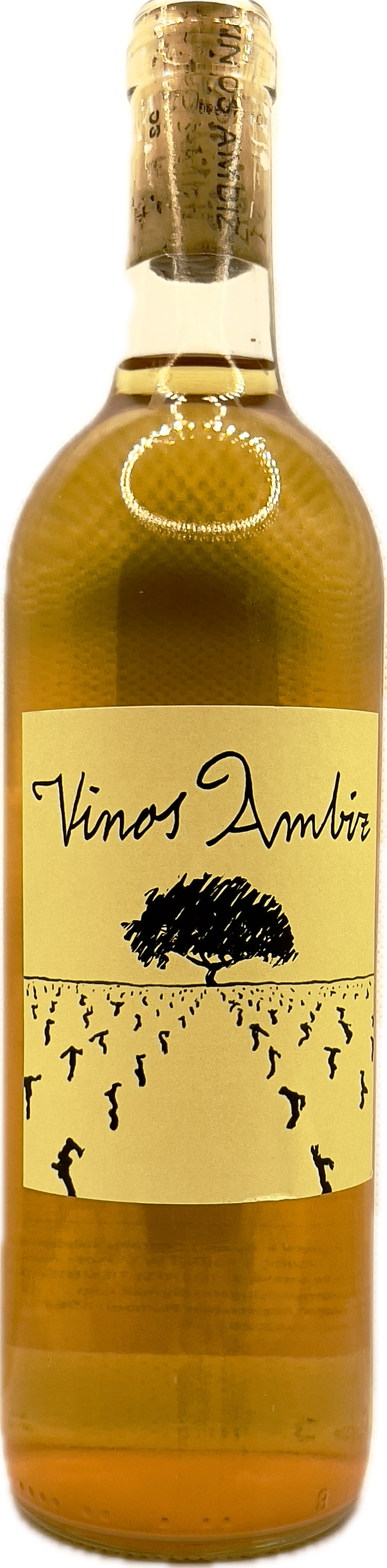 빌라누에바 2023