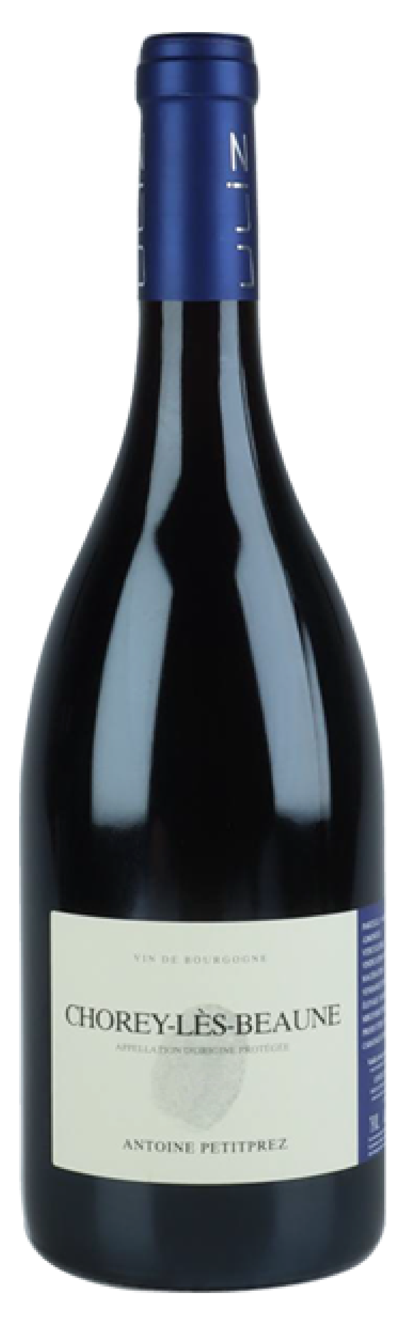 앙투안 프티프레즈-율리즈, 쇼레 레 본 2019