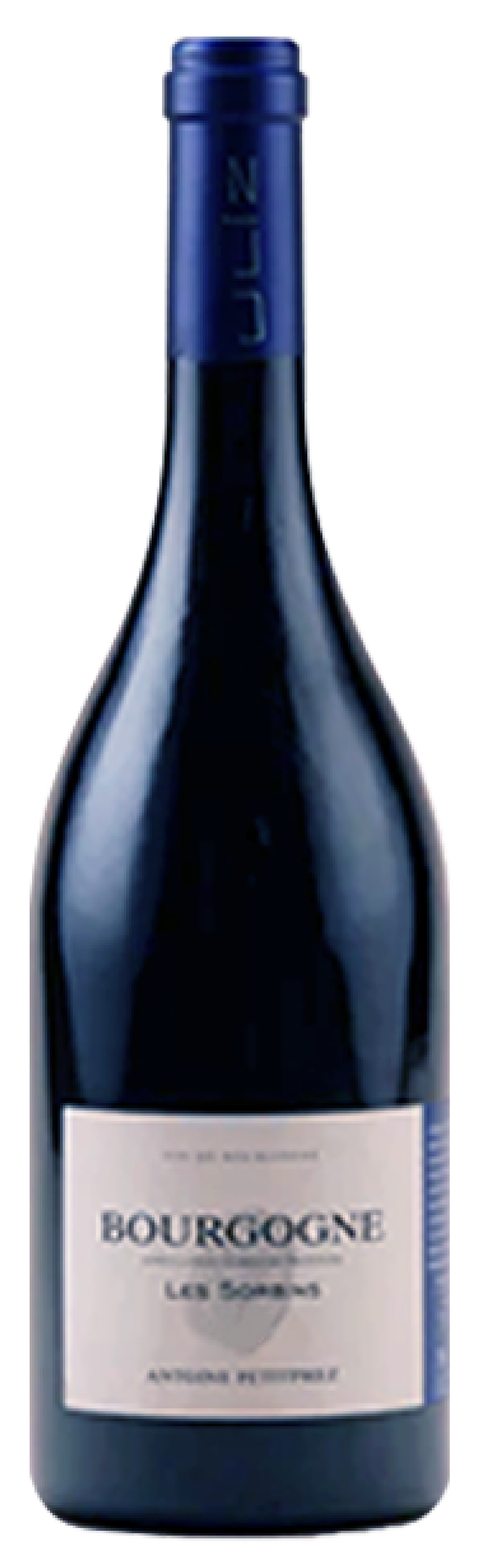 앙투안 프티프레즈-율리즈, 부르고뉴 `레 소르방` 2019